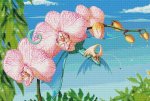 (image for) Orchid